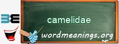 WordMeaning blackboard for camelidae